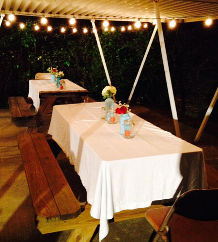 Backyard BBQ Party- the lights add so much!
