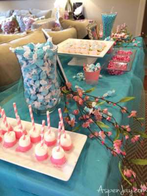 Pink Elephant Baby Shower - Aspen Jay