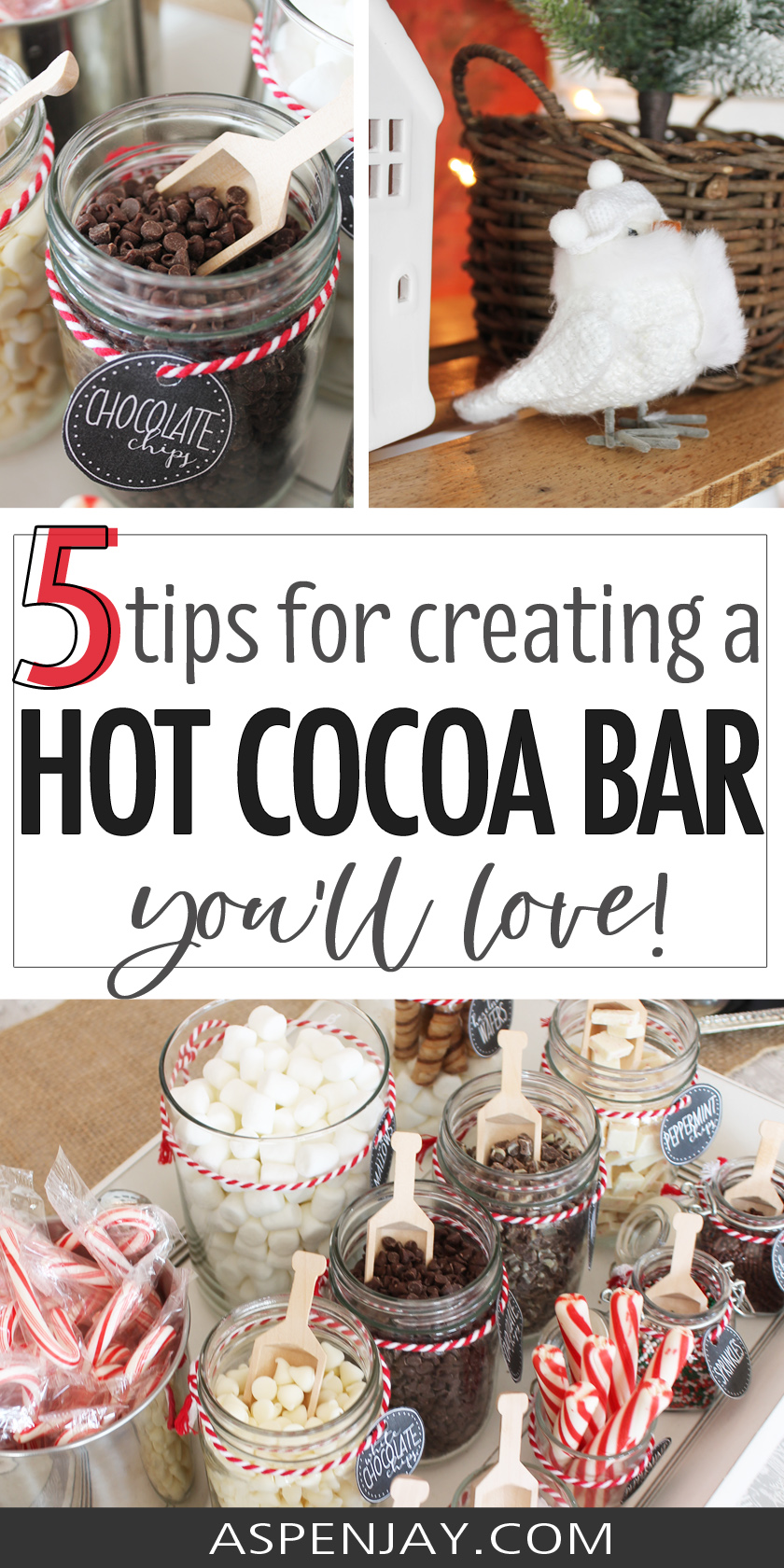 Hot Cocoa Bar Collection