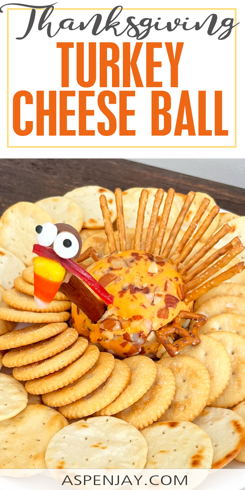 Turkey Cheese Ball a Perfect Thanksgiving Appetizer - Aspen Jay