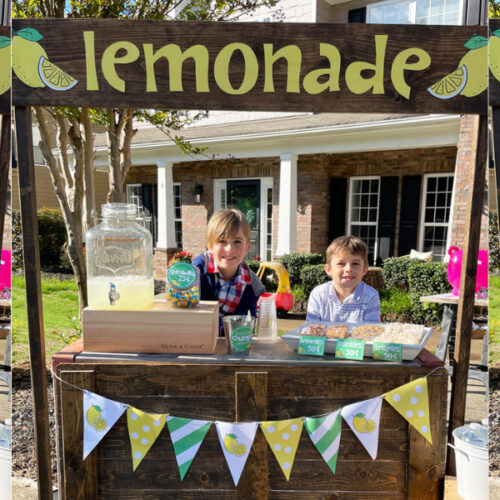 7 Lucrative Lemonade Stand Ideas for Tons of Success