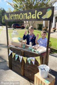 7 Lucrative Lemonade Stand Ideas for Tons of Success - Aspen Jay