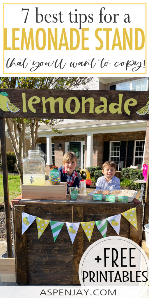 These 7 lucrative lemonade stand ideas will bring you lots of success and loads of fun. 