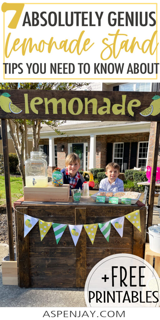 These 7 lucrative lemonade stand ideas will bring you lots of success and loads of fun. 