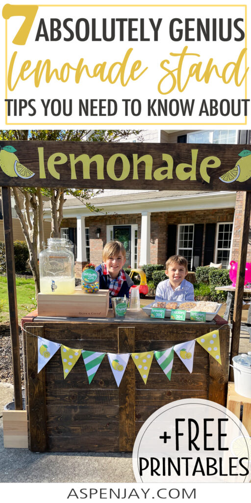 7 Lucrative Lemonade Stand Ideas For Tons Of Success Aspen Jay