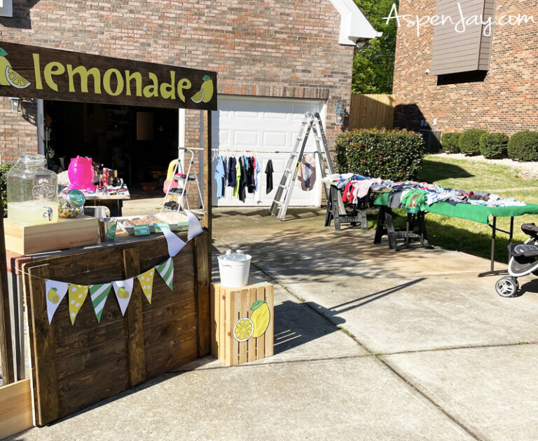 7 Lucrative Lemonade Stand Ideas For Tons Of Success Aspen Jay 4325