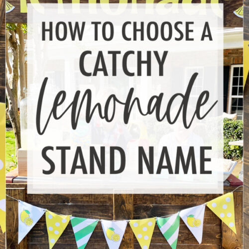 How to choose the a catchy lemonade stand name