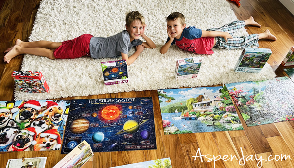 Looking for fun activities to do this summer? Here are 99+ awesome summer bucket list ideas to include in your summer! Puzzles are definitely a must!