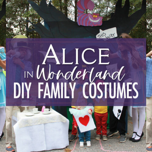 Creative DIY Family Alice in Wonderland Costumes for Halloween