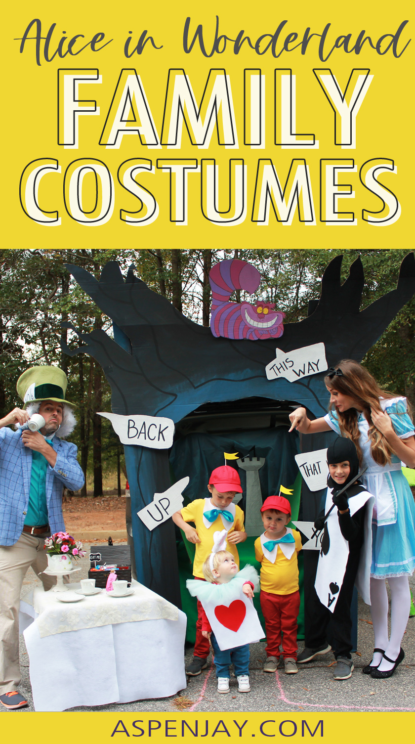 Diy Alice And Wonderland Costumenull
