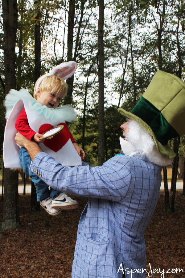 Alice in Wonderland family costumes that you are going to love! So easy to DIY!