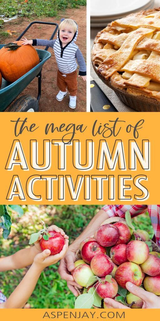 Make the most of the magical season of autumn with these fabulous fall bucket list ideas and free printable!