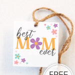 These Happy Mother's Day gift tags are a perfect touch to any little bag of treats, cookies, or chocolates to the the wonderful mothers in your life!