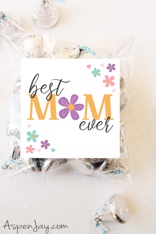 These Happy Mother's Day gift tags are a perfect touch to any little bag of treats, cookies, or chocolates to the the wonderful mothers in your life!