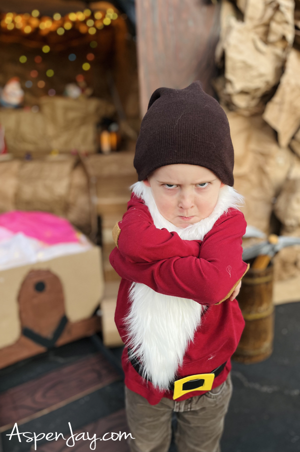 Easily pull off Grumpy's signature look with these Snow White and the Seven Dwarfs family costume ideas! Individual dressed up as Grumpy acting very grumpy.