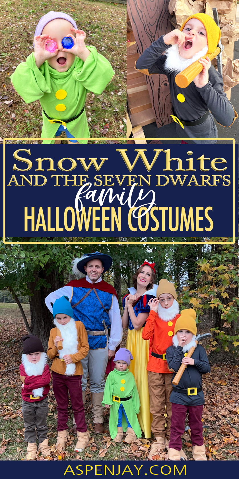 Snow White & the Seven Dwarfs Family Costumes for the Fairest Halloween ...