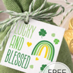 Need quick and cute St. Patrick’s Day gift tags? Download these free 2.5x2.5 printable tags, print at home, cut, and attach with ribbon or twine. Perfect for March 17th goodie bags and festive treats!