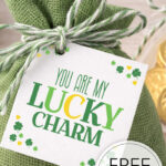 Need quick and cute St. Patrick’s Day gift tags? Download these free 2.5x2.5 printable tags, print at home, cut, and attach with ribbon or twine. Perfect for March 17th goodie bags and festive treats!
