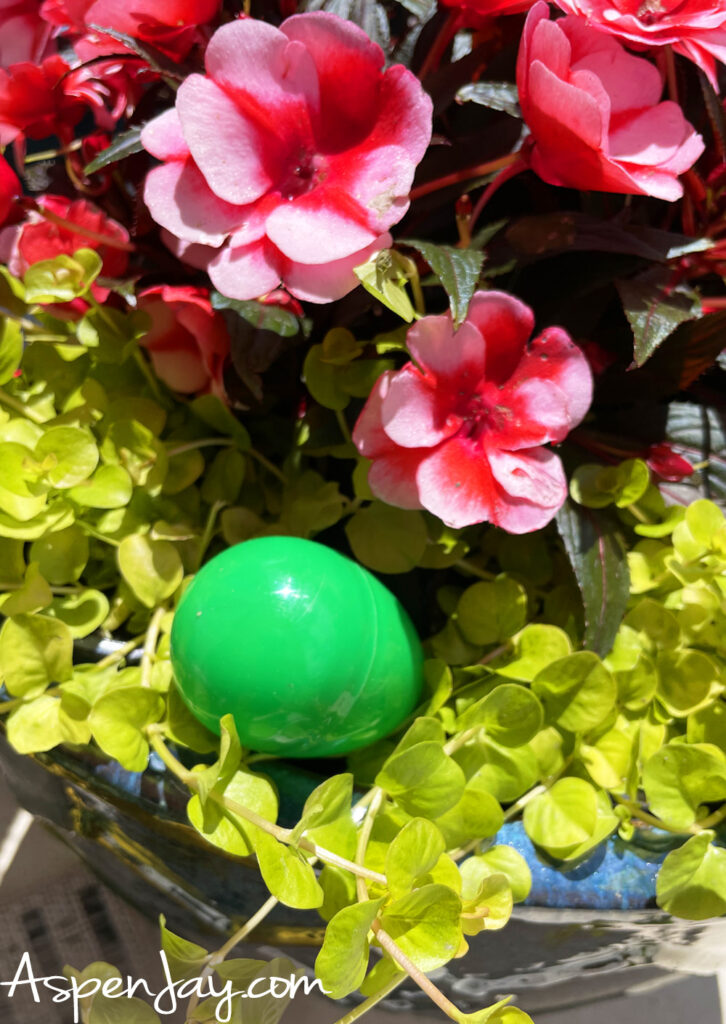 Green Easter egg in a flower pot with pink spring flowers and greenery
